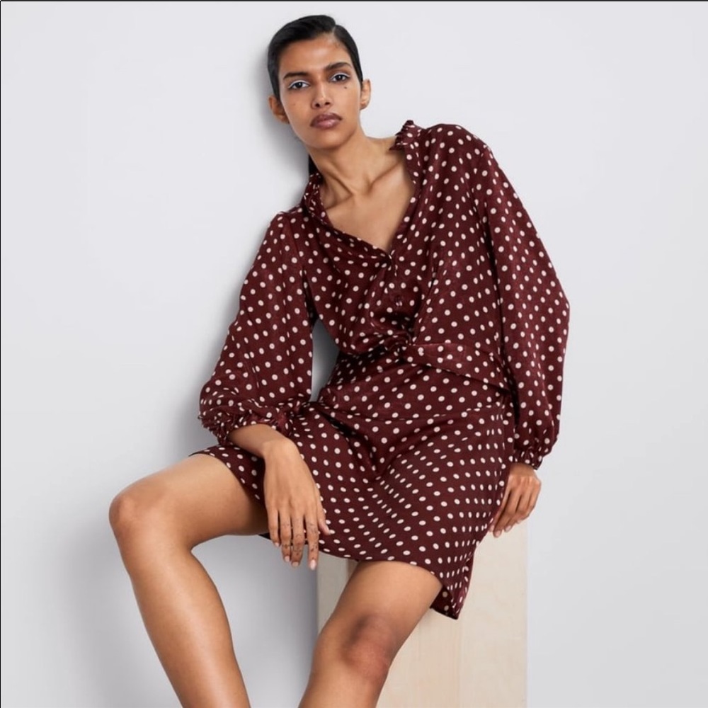 ZARA Polka Dot V-Neck Burgundy Dress NWT